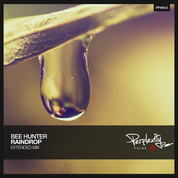 Raindrop cover art